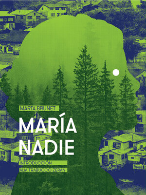 cover image of María Nadie